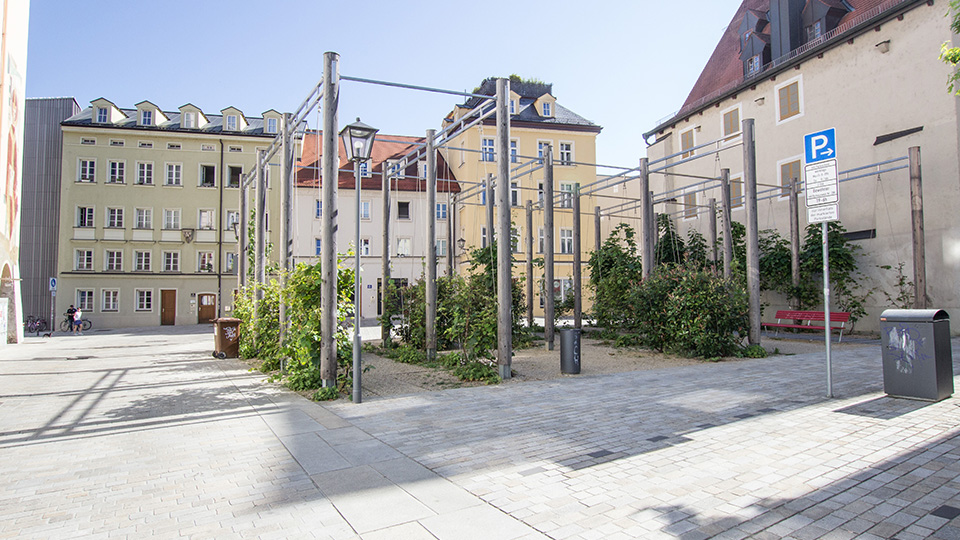 steinerne stadt wird regensburg vom hitzekessel zur gruenen oase 960x540 3