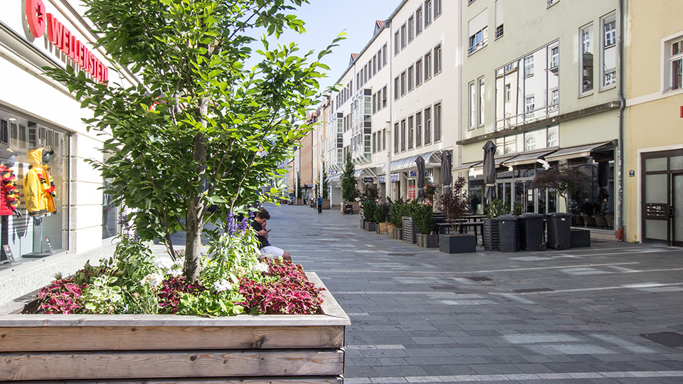 steinerne stadt wird regensburg vom hitzekessel zur gruenen oase 960x540 5