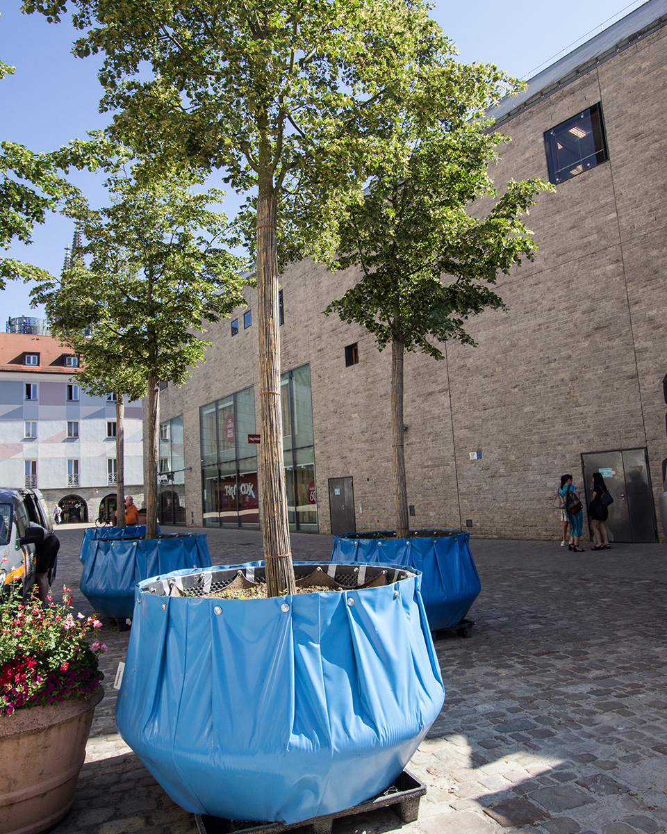 steinerne stadt wird regensburg vom hitzekessel zur gruenen oase 960x540 6