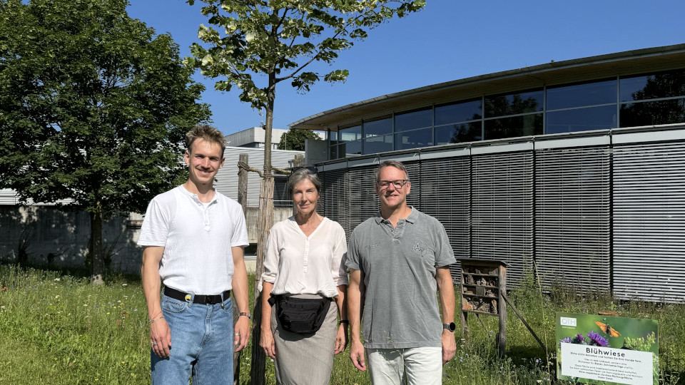 Insektenhotel im Grünen vor der OTH Regensburg