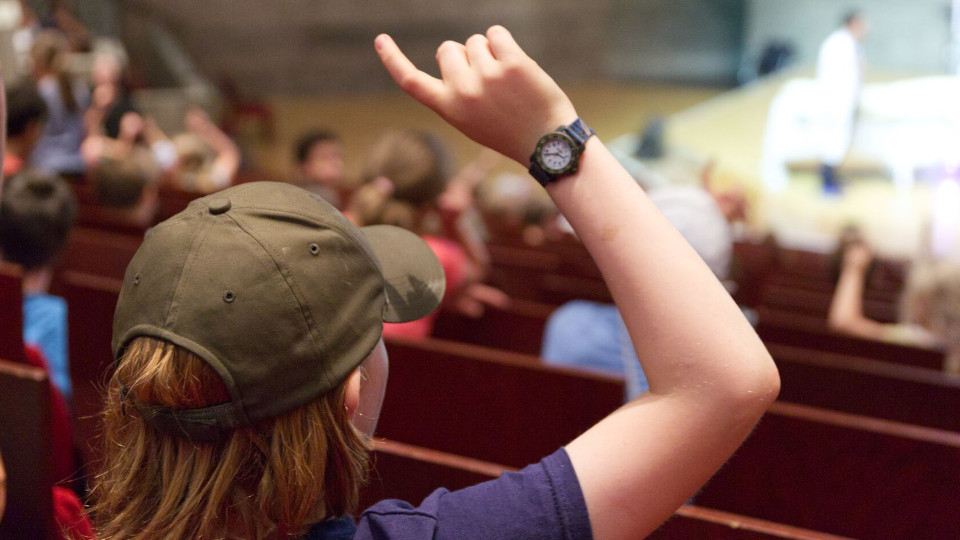 Schüler meldet sich im Unterricht