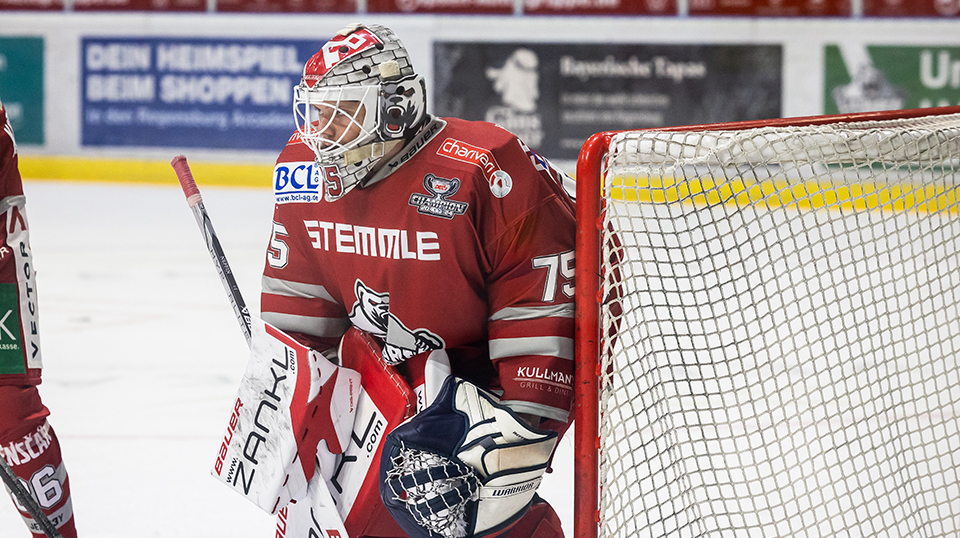 Eisbären Regensburg