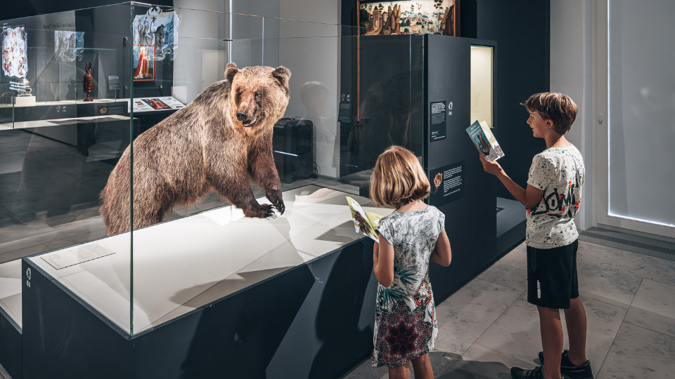 Kinder stehen im Museum vor einem Bären