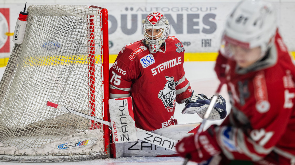 Eishockey Spieler auf dem Eis