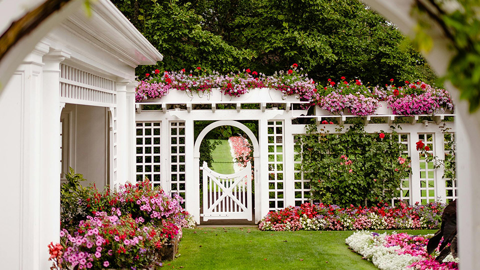 Schöner Garten mit Blumen